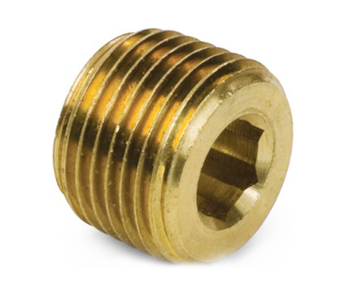 3153# Hex Socket Plug Brass Pipes
